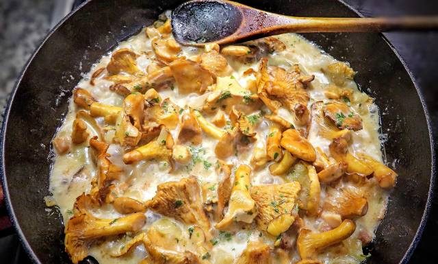 Przyrządzasz tak kurki? Niszczysz ich właściwości. Leśnicy wyjaśniają jak przygotować je prawidłowo