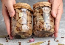 Jakie grzyby na przetwory? Te gatunki możesz suszyć, mrozić, marynować i kisić. Zobacz przepisy