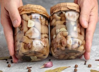 Jakie grzyby na przetwory? Te gatunki możesz suszyć, mrozić, marynować i kisić. Zobacz przepisy