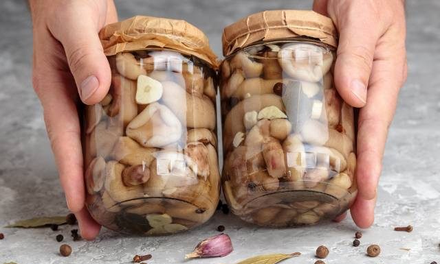 Jakie grzyby na przetwory? Te gatunki możesz suszyć, mrozić, marynować i kisić. Zobacz przepisy