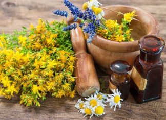 Zioła w ciąży mogą szkodzić! Sprawdź, których unikać dla dobra dziecka