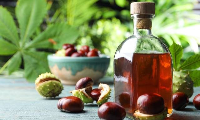 Nalewka z kasztanów na żylaki i stawy jest prosta w przygotowaniu. Poznaj przepis