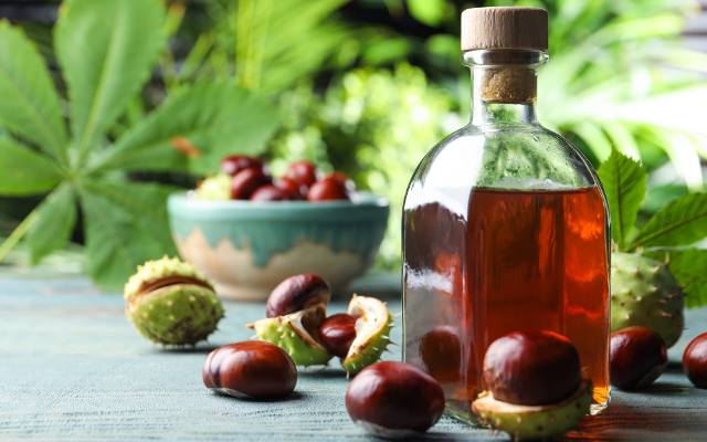 Nalewka z kasztanów na żylaki i stawy jest prosta w przygotowaniu. Poznaj przepis