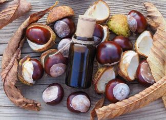 Nalewka z kasztanów na żylaki i stawy jest prosta w przygotowaniu. Sprawdź, czy ma przeciwwskazania i poznaj przepis