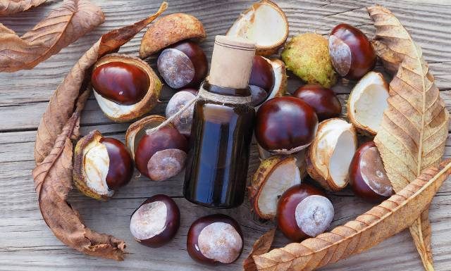 Nalewka z kasztanów na żylaki i stawy jest prosta w przygotowaniu. Sprawdź, czy ma przeciwwskazania i poznaj przepis