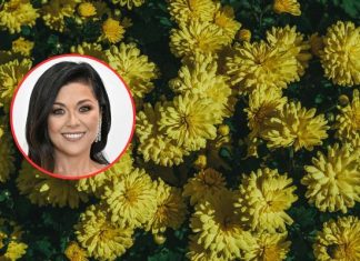 Katarzyna Cichopek kisi chryzantemy! Zaskakujący przepis gwiazdy
