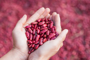 Wydłuża życie nawet o 10 lat. Prosty sposób na długowieczność