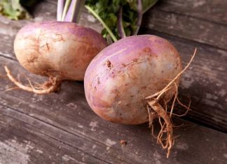 Zapomniane warzywo na nadciśnienie i zaparcia. Zrób z niego syrop na kaszel, ale nie podawaj dzieciom!