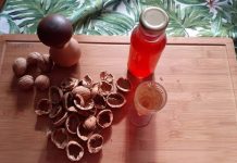 Leczniczą orzechówkę zrobisz z łupin. Może obniżyć ciśnienie, złagodzić objawy niestrawności i zwalczyć pasożyty