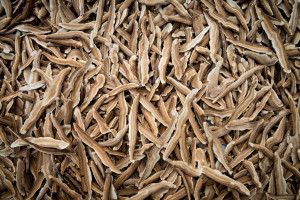 Biją na głowę suplementy diety. Cenne źródło witaminy D