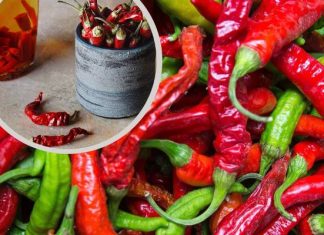 Nalewka z chili na stawy i przeziębienie. Poznaj przepis na leczniczą paprykówkę i jej właściwości przeciwbólowe, a także środki ostrożności