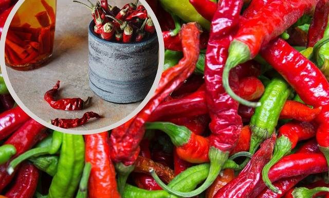 Nalewka z chili na stawy i przeziębienie. Poznaj przepis na leczniczą paprykówkę i jej właściwości przeciwbólowe, a także środki ostrożności