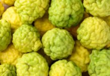 Rewolucja w walce z cholesterolem. Obniża LDL nawet o 40 proc.