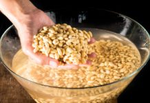 Tego nie rób z fasolą. Europejski urząd ostrzega przed żywieniowym trendem