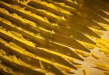 Wykańczające dla wątroby. Stłuszczenie, marskość i otyłość w pakiecie