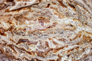 Sprawdź, czy masz w kuchni. Popularna przyprawa toksyczna dla mózgu