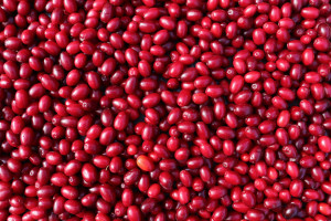 4 200 zł za kilogram.