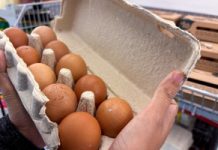 Tak oszukują nas producenci jajek. Kontrola ujawniła ogromną skalę