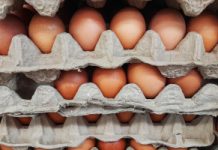 Alarm po kontrolach jajek. Wyszły na jaw masowe nieprawidłowości