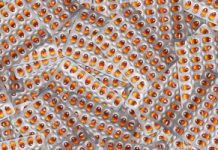 Coraz więcej osób pyta o ten suplement. Niewielu sprawdza, skąd pochodzi