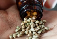 Niszczy wątrobę latami. Ten składnik potrafi naprawić stłuszczenie