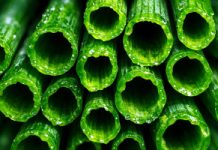 20 lat badań potwierdza: najsilniejsza ochrona przed cukrzycą i nadciśnieniem