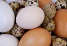 Które jajka są najzdrowsze? Tyle tygodniowo możesz zjeść bez obaw