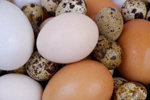 Które jajka są najzdrowsze? Tyle tygodniowo możesz zjeść bez obaw