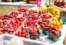 178 substancji – koktajl pestycydów. Na czarnej liście truskawki, papryka i szpinak