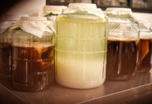 Zregeneruje uszkodzone jelita. Chroni przed toksynami, odchudza