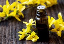 Idealna na wiosenny detoks. Wzmacnia organizm i serce. Nalewka z forsycji wzmacnia organizm