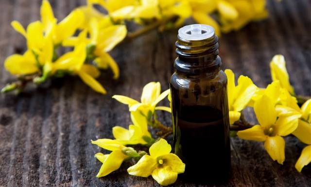 Idealna na wiosenny detoks. Wzmacnia organizm i serce. Nalewka z forsycji wzmacnia organizm