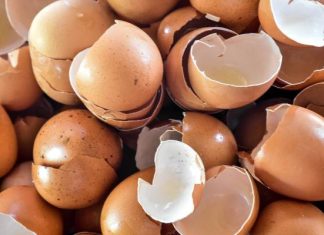 Naturalny sposób na mocne kości? Skorupki jajek działają lepiej niż myślisz