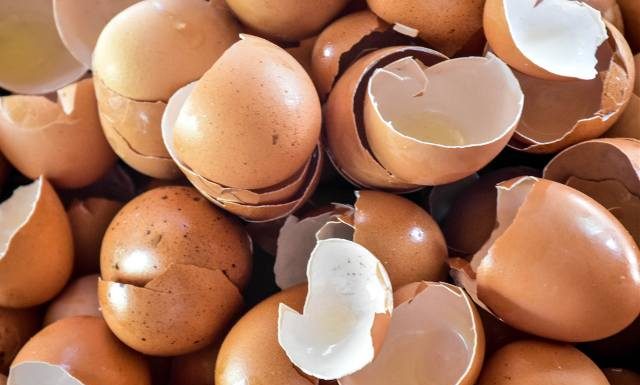 Naturalny sposób na mocne kości? Skorupki jajek działają lepiej niż myślisz