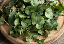 Uderza w cholesterol, obniża ciśnienie, świetnie smakuje. Polacy depczą, a to skarb