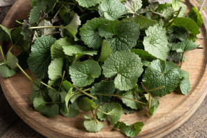 Uderza w cholesterol, obniża ciśnienie, świetnie smakuje. Polacy depczą, a to skarb