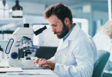 Co zamiast badań na zwierzętach? Polscy naukowcy sterują naczyniami krwionośnymi magnesem