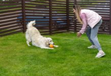 Zmniejsza ryzyko cukrzycy o 60 proc. Wystarczy 15 minut tygodniowo