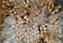 Powodują gazy i wzdęcia. Uważaj: brzuch będzie wielki jak balon