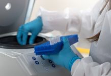 Koniec kolonoskopii? Naukowcy chcą wykrywać raka jelita z bakterii