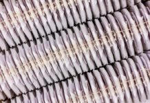 Udowodniony wpływ na odchudzanie. Silny wspomagacz kupisz za grosze