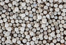 Cenniejszy niż suplementy. Pobudza trawienie – jelita go uwielbiają