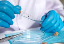 Przełom po 20 latach. Szczepionka na boreliozę ze skutecznością ponad 73 proc.