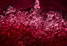 Ponad 10 lat badali wpływ na jelita. Naukowcy: wróg numer jeden