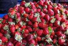 Oszukują na potęgę. To nie są polskie truskawki – zwróć uwagę na ten szczegół