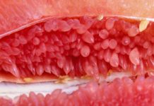 Zjedz przed posiłkiem. Wytapia tkankę tłuszczową, obniża cukier we krwi