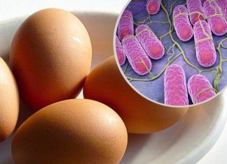 Salmonella to groźna bakteria nie tylko z żywności. Takie są objawy zatrucia Salmonellą