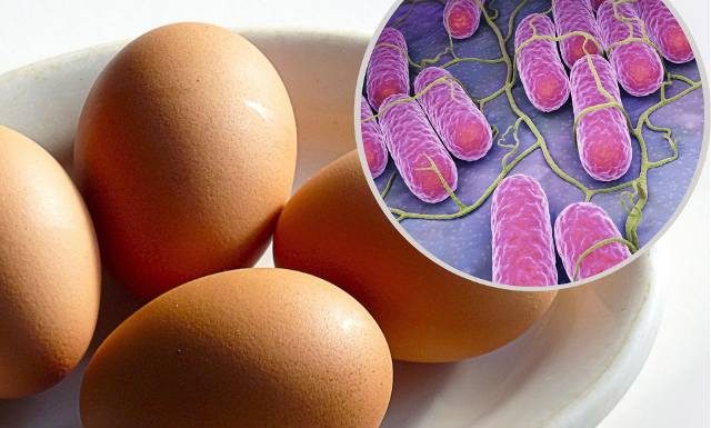 Salmonella to groźna bakteria nie tylko z żywności. Takie są objawy zatrucia Salmonellą