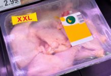 80 proc. mięsa skażone. Unia Europejska zdecydowała: od 3 września zniknie ze sklepów