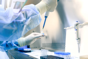 Zespół kruchości a bakterie jelitowe. Kluczowy skład i funkcjonowanie mikrobiomu